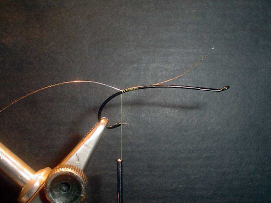 Bunny Intruder Step 1