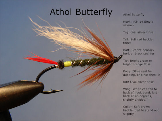 Athol Butterfly