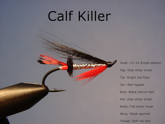 Calf Killer
