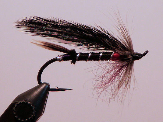 Border Collie - A John Wood Fly