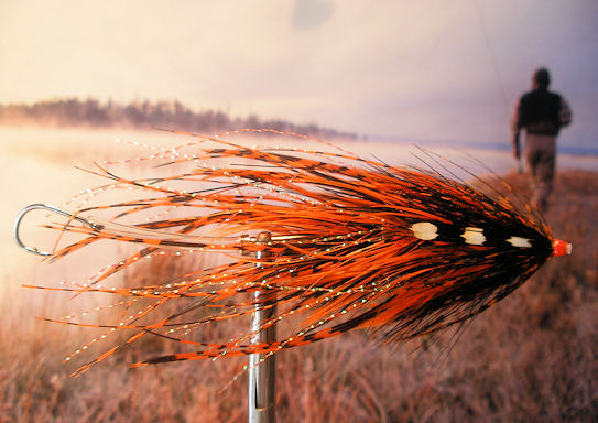 Orange and Black Intruder Tube