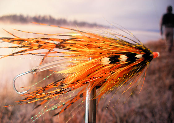 Orange and Yellow Intruder Tube