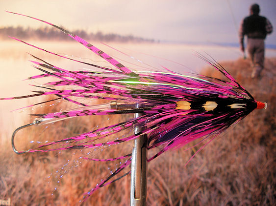 Russian Intruder Tube, Purple and Pink