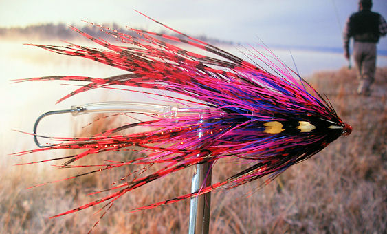 Red And Purple Intruder Tube