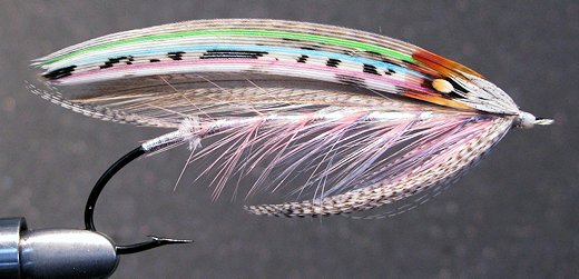 Salmon River Chromer