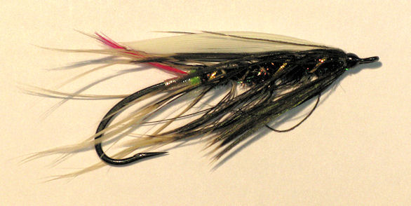 GBS Variation - White -Tipped Hackle