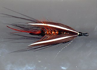 Faltin's Akroyd Variant Top View, A Jan Faltin Fly