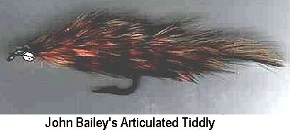 John Bailey's Articulated Tiddly