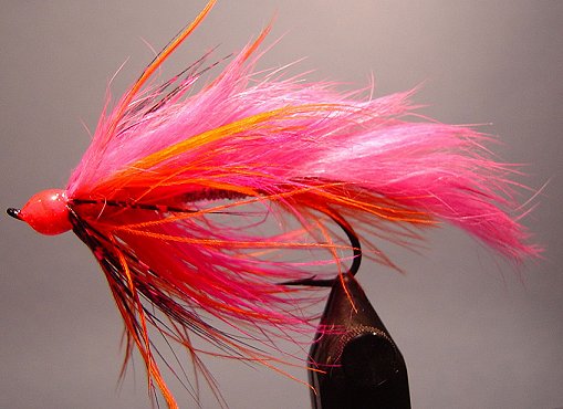 Bruce�s Spey, Designed and Tied by John Glaspy