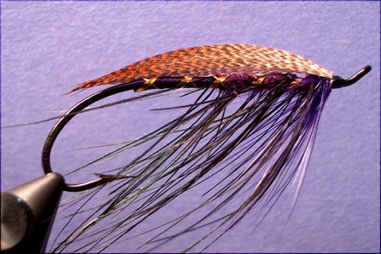 Deep Purple Spey, Tied by Monte Smith