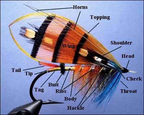 Parts of the Atlantic Salmon Fly