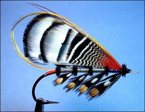 Evening Star, Tied By Monte Smith