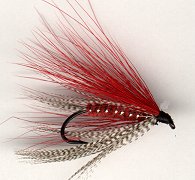 Umpqua Red Brat