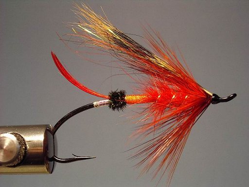 Fire Ant, Tied By Scott Howell