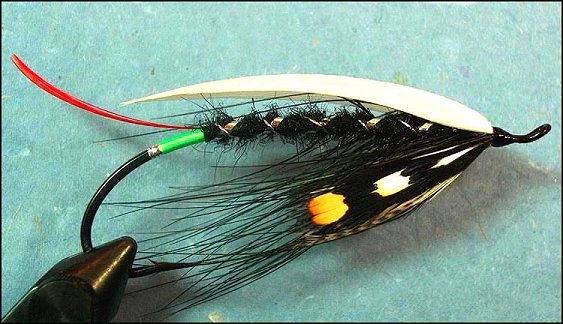 Green Butt Skunk Spey, Adapted by Monte Smith
