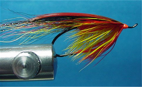 General Proctologist