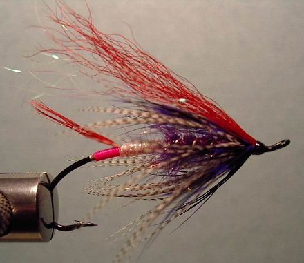 Gold Digger, Tied by Scotty Howell