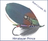 Himalayan Prince