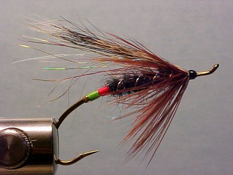 Inland Boar, A Scott Howell Fly