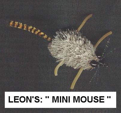 Leons Mini Mouse