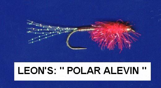 Leons Polar Alevin
