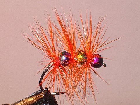 Leon's Rainbow Bug, Orange Version