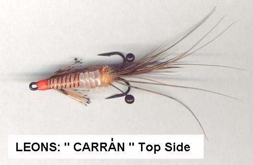Leons Carran Top View