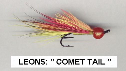 Leons Comet Tail