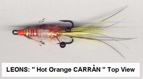 Leons Carran Top View