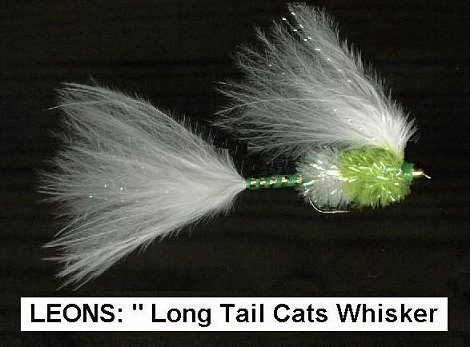 Leons Long Tail Cats Whisker