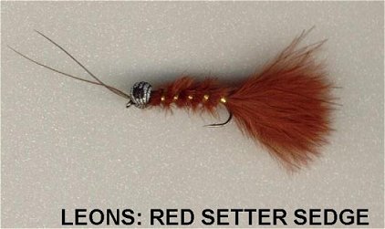 Leons Red Setter Sedge, a Leon Guthrie Original