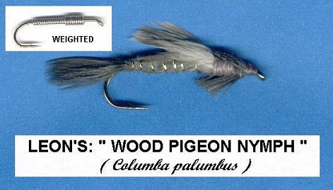 Leon's Wood Pigeon Nymph