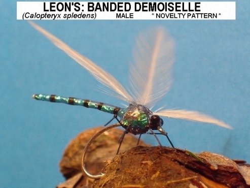 Leon's Banded Demoiselle , Originated and Tied By Leon Guthrie