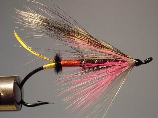 Naranxeira (RV), Tied by Scotty Howell