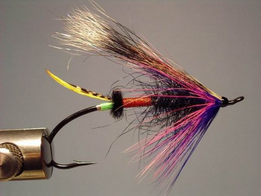 Northwest Naranxeira, Tied by Scotty Howell