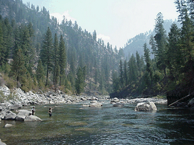 Fly fishing the beautiful South Fork of the Salmon River, River of No Return Wilderness Area, Idaho and a salmon being released by the Idaho Fish and Game Dept. Submitted by David Champion from Whitehouse, Ohio