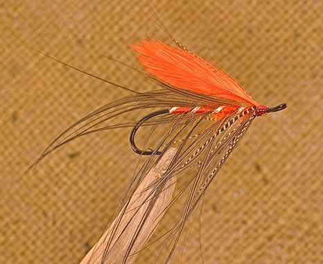 Orange Heron, Tied By Stu Farnham