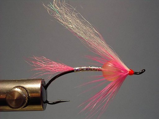 The Rajah, Tied By Scott Howell