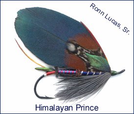 Himalayan Prince