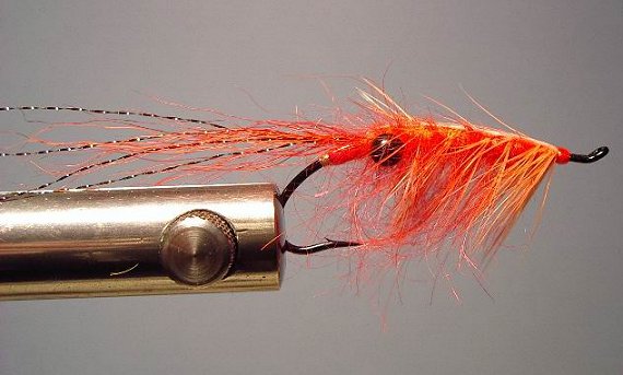 Scott's Prawn, Designed and Tied By Scott Howell