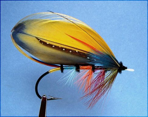 Shannon, Tied By Monte Smith