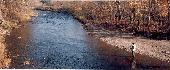 Contributing Fly Tyer Jamie Webb fishing for Atlantic salmon last October in one of his local rivers. Englebert Humperdinck was presented a framed copy of this picture on his recent tour in Halifax NS.