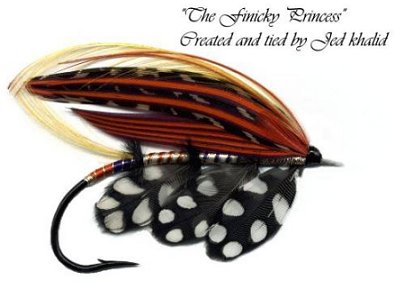 The Finicky Princess