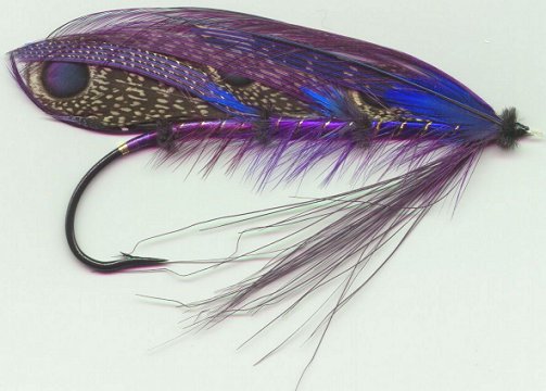 Three Ayes For Idaho, by Dr. David Burns