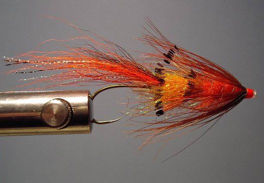 Tube Tippet Shrimp (Orange), Tied By Scott Howell