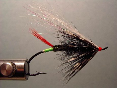 Venerable Skunk, Tied By Scott Howell
