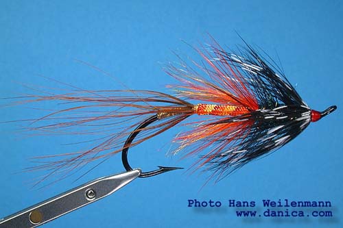 The Autumn Shrimp, A Petru Dima Fly