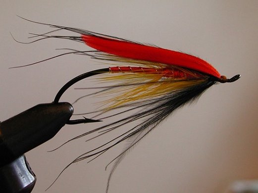 Candlelight Spey
