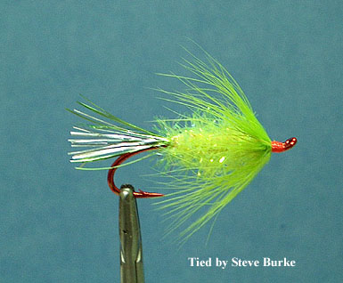 Chum Salmon Slammer (Youngers)