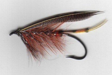 Fiery Brown, Tied by Dave Potts